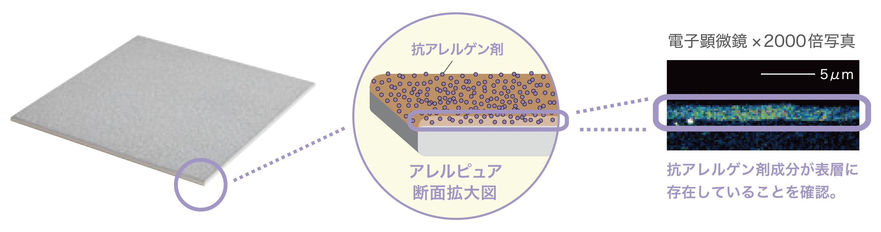 環境アレルゲンが「アレルピュア」に触れると、タイル表面にコーティングされた抗アレルゲン剤がその働きを抑制します。